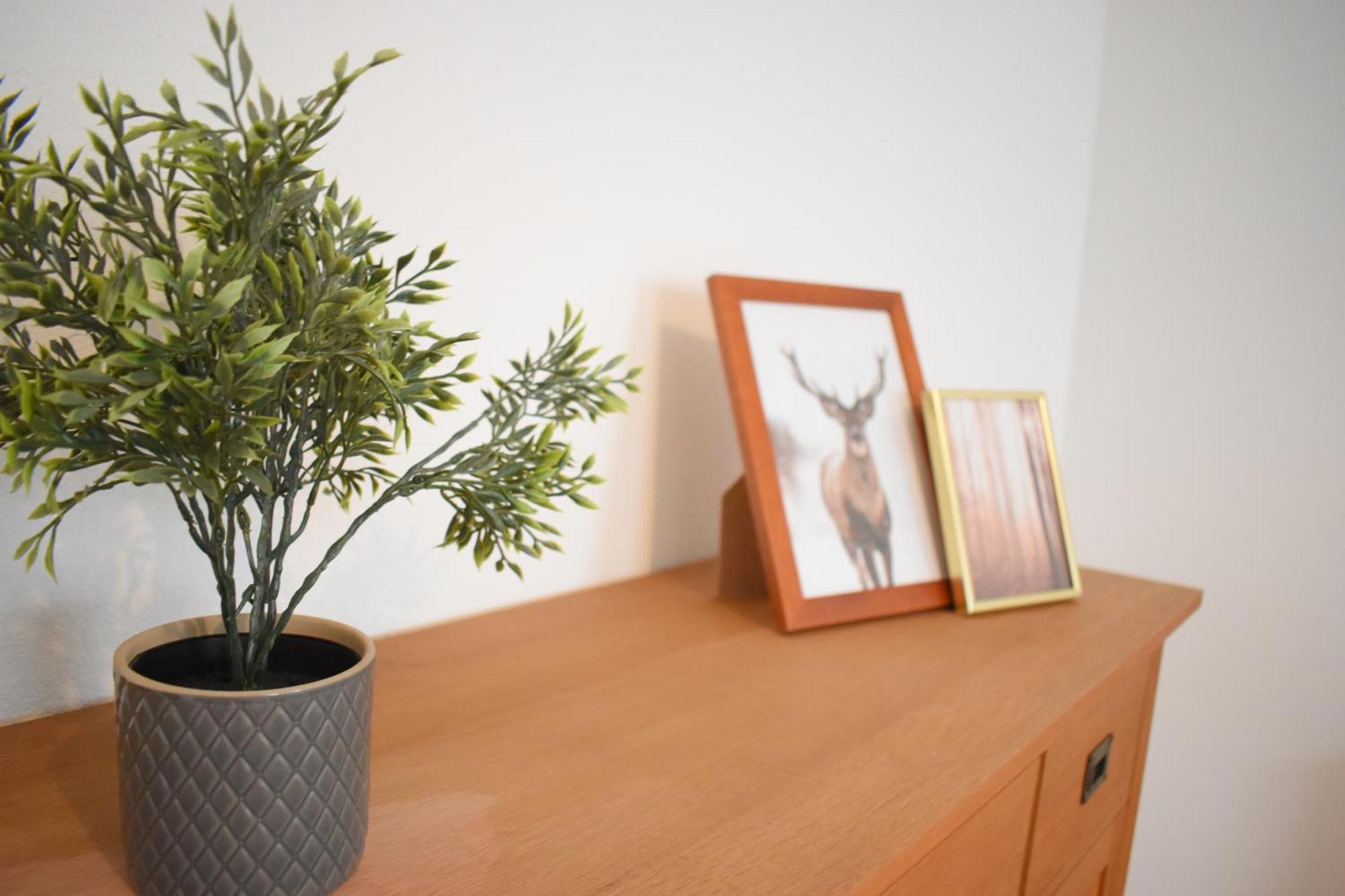 Ob Ferienwohnung Sensbachtal Unter-Sensbach Extérieur photo